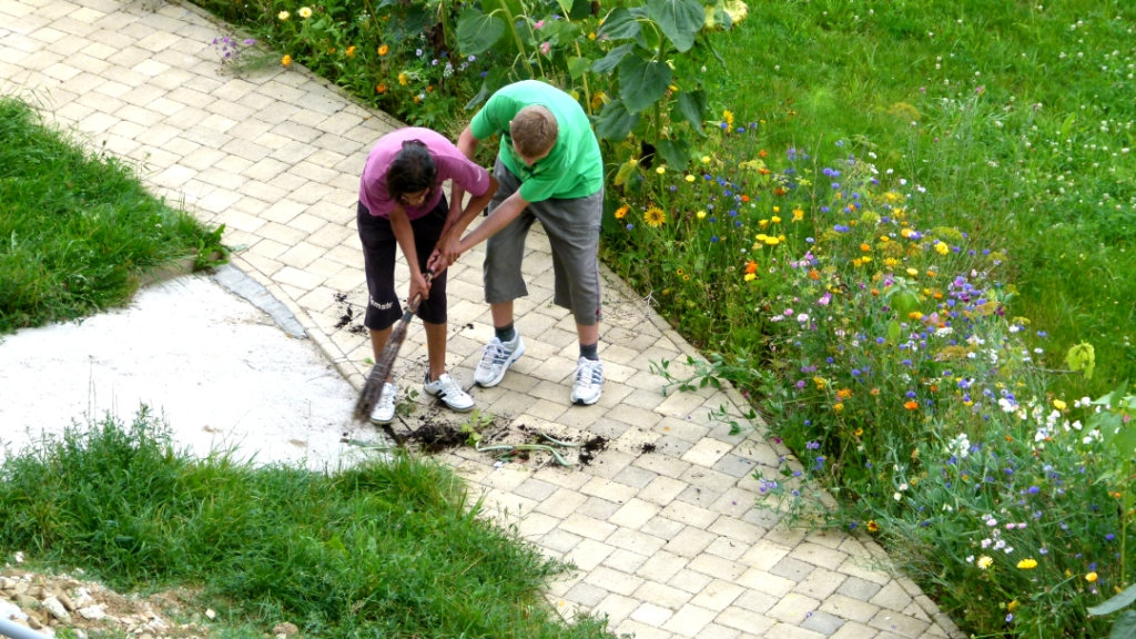 Práca v dome a záhrade